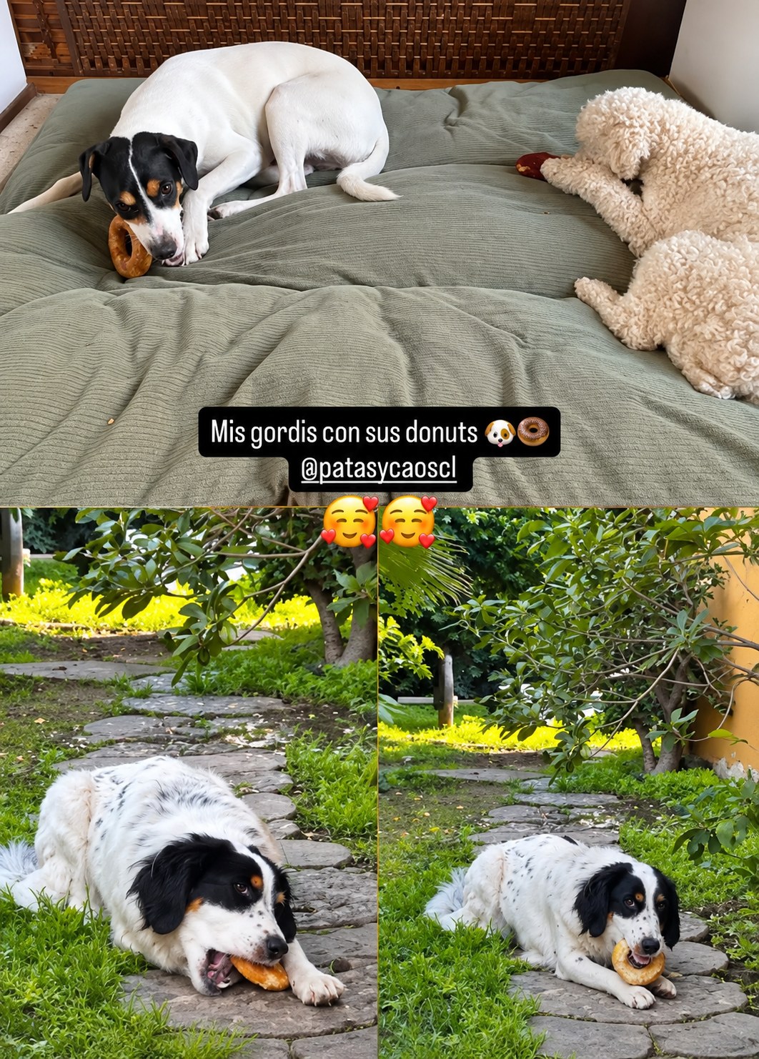 Lucas y amigos