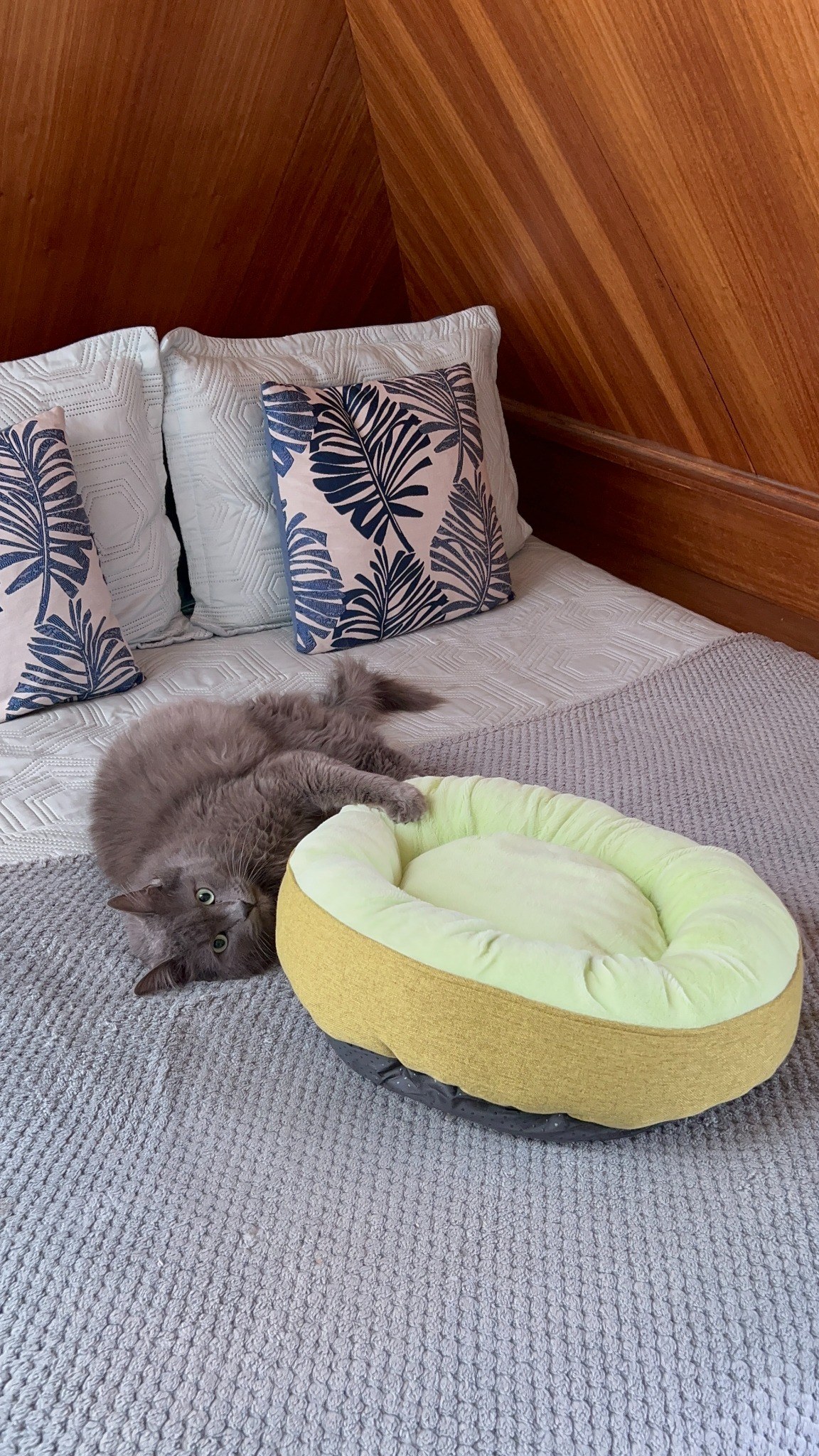 Milo