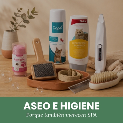 Aseo e Higiene