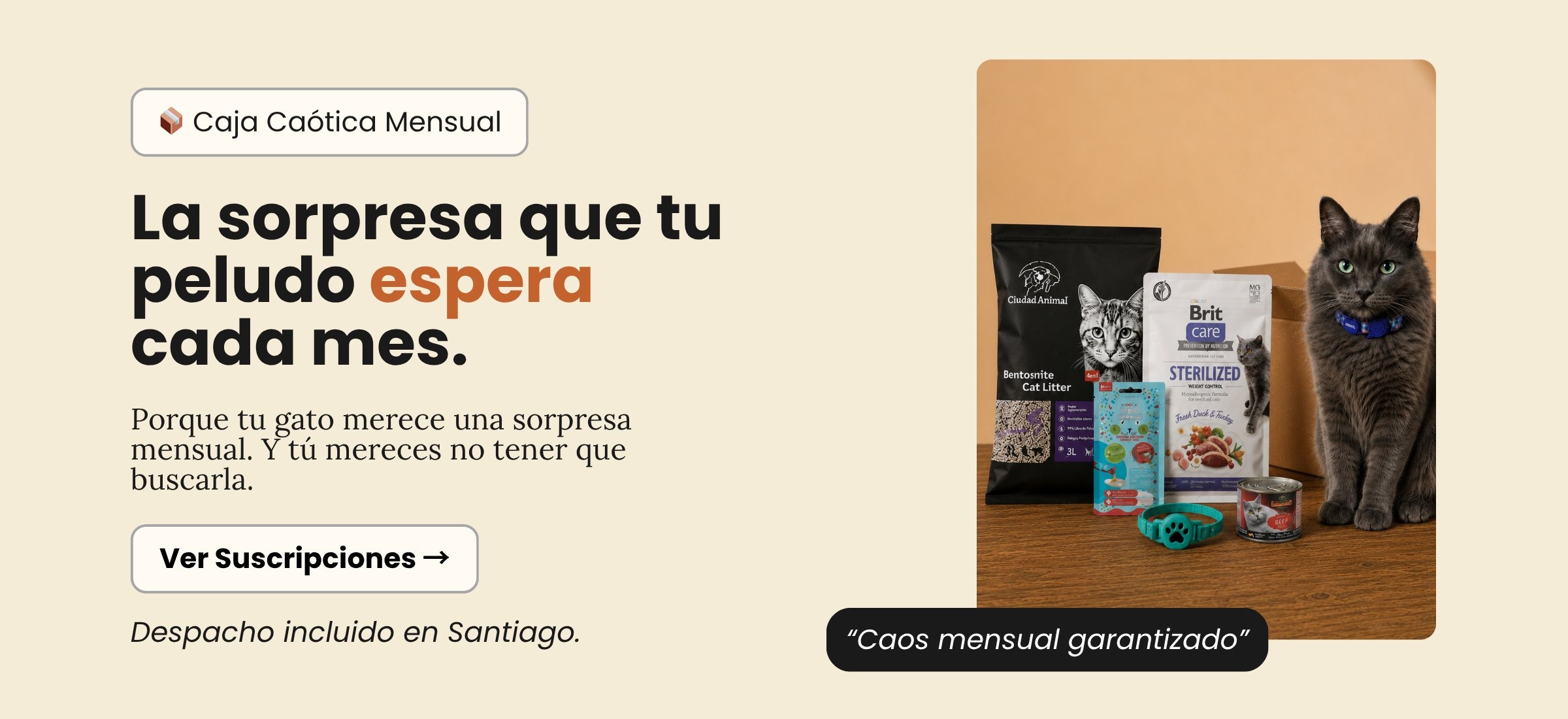 Caja Caótica Suscripciones