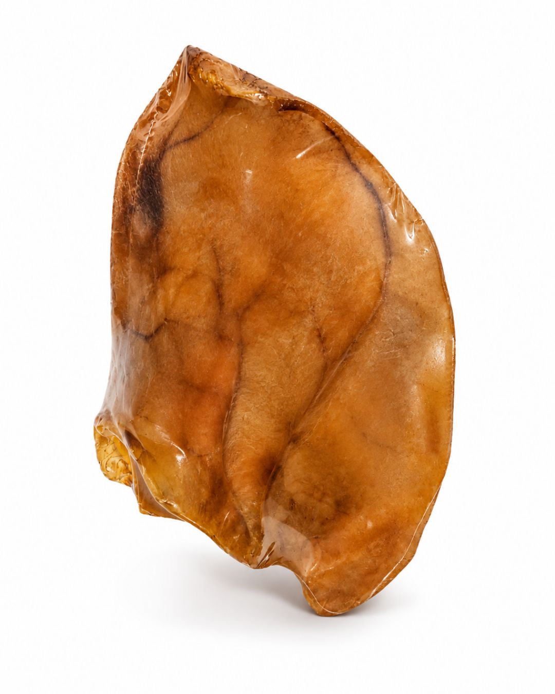 Oreja de Cerdo - Gran Cani